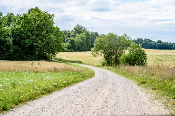 Stone Driveway Repair Service