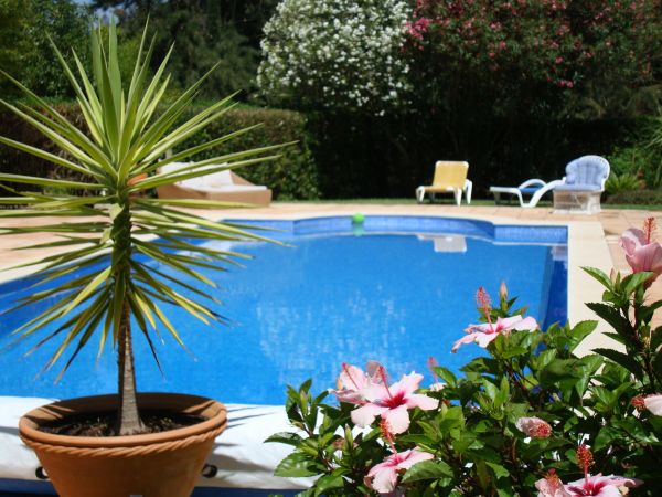 Pool Terrace Renovation in Littleton