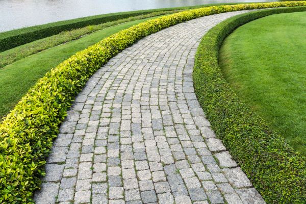 Sidewalk Pavers Installation in Littleton