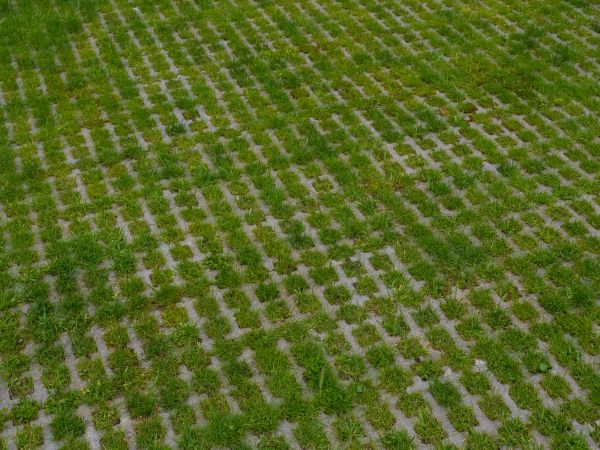 Permeable Pavement Service in Littleton